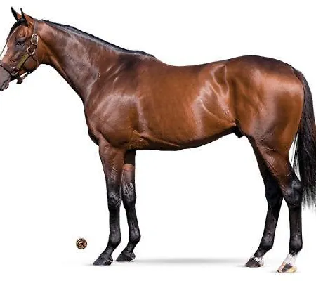 Habitación en casa particular Meublée Dans Un Au Pied De La Gare