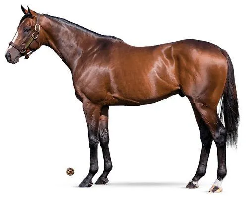 Séjour chez l'habitant Meublée Dans Un Au Pied De La Gare